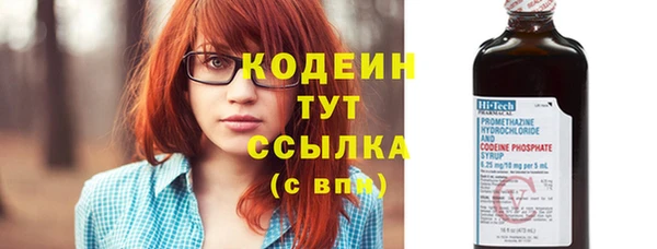 ГАЛЛЮЦИНОГЕННЫЕ ГРИБЫ Осинники