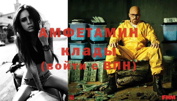 ГАЛЛЮЦИНОГЕННЫЕ ГРИБЫ Осинники