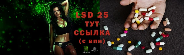 PSILOCYBIN Остров