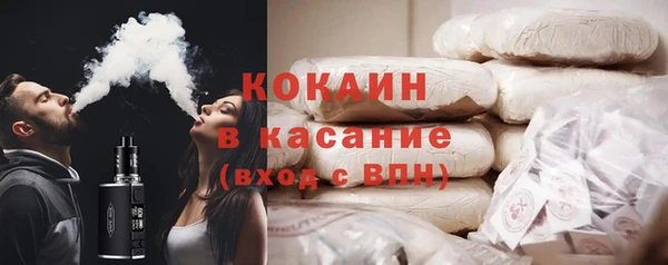 ГАЛЛЮЦИНОГЕННЫЕ ГРИБЫ Осинники